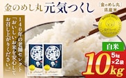 令和7年産 金のめし丸元気つくし精米10kg 元気つくし 福岡 お米 米 ごはん ご飯 お弁当 おにぎり 金のめし丸県産米 福岡ブランド米 めし丸 志免 志免町 福岡県