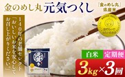 【3回定期便】 令和7年産 白米 金のめし丸 元気つくし 3kg 定期便 3ヵ月 福岡 お米 米 ごはん ご飯 お弁当 おにぎり 金のめし丸県産米 福岡ブランド米 めし丸 ライス rice 飯