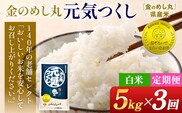 【3回定期便】 令和7年産 白米 金のめし丸 元気つくし 5kg 定期便 3ヵ月 福岡 お米 米 ごはん ご飯 お弁当 おにぎり 金のめし丸県産米 福岡ブランド米 めし丸 ライス rice 飯