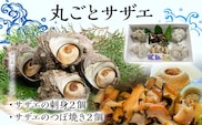 丸ごとサザエ さざえ 栄螺 貝 魚介 海鮮 刺身 つぼ焼き サザエ サザエの刺身２個 サザエのつぼ焼き２個 玄界灘 福岡 冷凍 お取り寄せ 海産物 さしみ 刺し身 グリル 殻付き レンジ おつまみ つまみ 肴