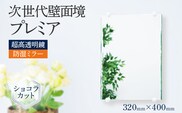次世代壁面境 プレミア（超高透明鏡）ミラー 壁掛け鏡 フランス サンゴバン社製 九鏡 ショコラカット