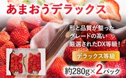 【2026年発送先行予約】あまおうデラックス（約280g x2パック） お取り寄せグルメ お取り寄せ 福岡 お土産 九州 福岡土産 取り寄せ グルメ 福岡県