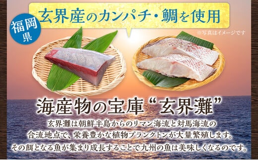 博多珍味 4品 3種類 4パック 魚介類 惣菜 加工品 おかず おつまみ 冷凍