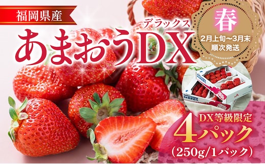 福岡産【春】あまおうDX（デラックス）4パック いちご 苺 果物 フルーツ 九州産 福岡県産 冷蔵 送料無料 【2月上旬発送開始予定】 イチゴ フルーツ 果物 くだもの ブランド 国産 甘味 果汁