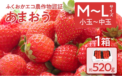ふくおかエコ農作物認証あまおう M～Lサイズ 1箱セット あまおう イチゴ 苺 いちご フルーツ 果物 くだもの 福岡県産 お取り寄せグルメ お取り寄せ 福岡 お土産 九州 福岡土産 取り寄せ グルメ 福岡県