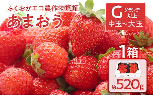 ふくおかエコ農作物認証あまおう G以上 1箱セット あまおう イチゴ 苺 いちご フルーツ 果物 くだもの 福岡県産 お取り寄せグルメ お取り寄せ 福岡 お土産 九州 福岡土産 取り寄せ グルメ 福岡県