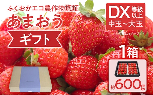 ふくおかエコ農作物認証あまおう ギフト DX等級以上 1箱セット あまおう イチゴ 苺 いちご フルーツ 果物 くだもの 福岡県産 お取り寄せグルメ お取り寄せ 福岡 お土産 九州 福岡土産 取り寄せ グルメ 福岡県