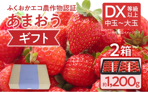 ふくおかエコ農作物認証あまおう ギフト DX等級以上 2箱セット あまおう イチゴ 苺 いちご フルーツ 果物 くだもの 福岡県産 お取り寄せグルメ お取り寄せ 福岡 お土産 九州 福岡土産 取り寄せ グルメ 福岡県