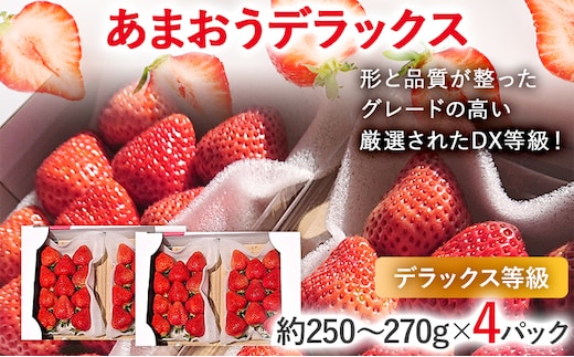 【2027年発送先行予約】あまおうデラックス（約250‐270g x4パック） お取り寄せグルメ お取り寄せ 福岡 お土産 九州 福岡土産 取り寄せ グルメ 福岡県