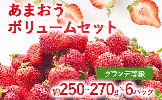 【2027年発送先行予約】あまおうボリュームセット(約250‐270g x G6パック) お取り寄せグルメ お取り寄せ 福岡 お土産 九州 福岡土産 取り寄せ グルメ 福岡県