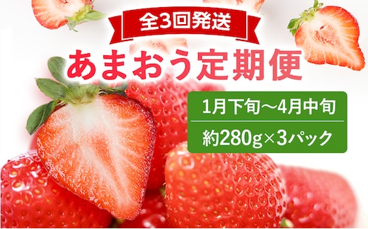 【2026年先行いちご定期便】 あまおう 3パックｘ3回 （1月下旬～、2月～、3月～発送） お取り寄せグルメ お取り寄せ 福岡 お土産 九州 福岡土産 取り寄せ グルメ 福岡県