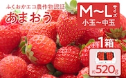 ふくおかエコ農作物認証あまおう M～Lサイズ 1箱セット あまおう イチゴ 苺 いちご フルーツ 果物 くだもの 福岡県産 お取り寄せグルメ お取り寄せ 福岡 お土産 九州 福岡土産 取り寄せ グルメ 福岡県