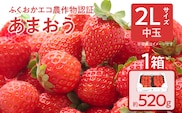 ふくおかエコ農作物認証あまおう 2Lサイズ 1箱セット あまおう イチゴ 苺 いちご フルーツ 果物 くだもの 福岡県産 お取り寄せグルメ お取り寄せ 福岡 お土産 九州 福岡土産 取り寄せ グルメ 福岡県