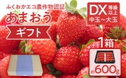 ふくおかエコ農作物認証あまおう ギフト DX等級以上 1箱セット あまおう イチゴ 苺 いちご フルーツ 果物 くだもの 福岡県産 お取り寄せグルメ お取り寄せ 福岡 お土産 九州 福岡土産 取り寄せ グルメ 福岡県