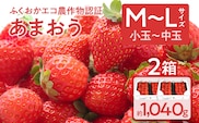 ふくおかエコ農作物認証あまおう M～Lサイズ 2箱セット あまおう イチゴ 苺 いちご フルーツ 果物 くだもの 福岡県産 お取り寄せグルメ お取り寄せ 福岡 お土産 九州 福岡土産 取り寄せ グルメ 福岡県