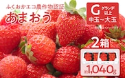 ふくおかエコ農作物認証あまおう G以上 2箱セット あまおう イチゴ 苺 いちご フルーツ 果物 くだもの 福岡県産 お取り寄せグルメ お取り寄せ 福岡 お土産 九州 福岡土産 取り寄せ グルメ 福岡県