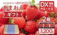 ふくおかエコ農作物認証あまおう ギフト DX等級以上 2箱セット あまおう イチゴ 苺 いちご フルーツ 果物 くだもの 福岡県産 お取り寄せグルメ お取り寄せ 福岡 お土産 九州 福岡土産 取り寄せ グルメ 福岡県