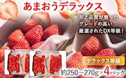 【2027年発送先行予約】あまおうデラックス（約250‐270g x4パック） お取り寄せグルメ お取り寄せ 福岡 お土産 九州 福岡土産 取り寄せ グルメ 福岡県