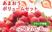 【2027年発送先行予約】あまおうボリュームセット(約250‐270g x G6パック) お取り寄せグルメ お取り寄せ 福岡 お土産 九州 福岡土産 取り寄せ グルメ 福岡県