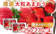 【2027年発送先行予約】厳選大粒あまおう(約250‐270g x 4パック) お取り寄せグルメ お取り寄せ 福岡 お土産 九州 福岡土産 取り寄せ グルメ 福岡県