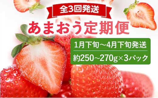 【2027年先行いちご定期便】 あまおう 3パックｘ3回 （1月下旬～、2月～、3月～発送） お取り寄せグルメ お取り寄せ 福岡 お土産 九州 福岡土産 取り寄せ グルメ 福岡県