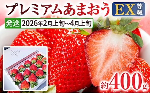 【2026年発送先行予約】プレミアム あまおう EX（化粧箱入り）いちご フルーツ 果物 あまおう 約400g×1パック 苺 イチゴ ギフト 贈答用 贈り物 お祝い 祝い 化粧箱 福岡【発送時期2026年2月上旬～2026年4月上旬】