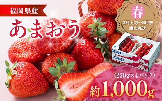福岡産【春】あまおう 4パック 合計1000g（1パックあたり250g） いちご 苺 果物 フルーツ 九州産 福岡県産 冷蔵 送料無料 【2月上旬発送開始予定】