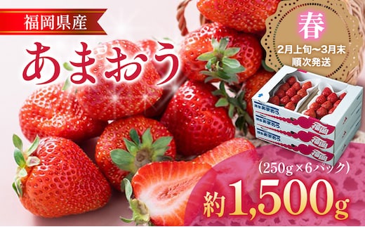 福岡産【春】あまおう 6パック 合計約1500g（1パックあたり250g） いちご 苺 果物 フルーツ 九州産 福岡県産 冷蔵 送料無料 【2月上旬発送開始予定】