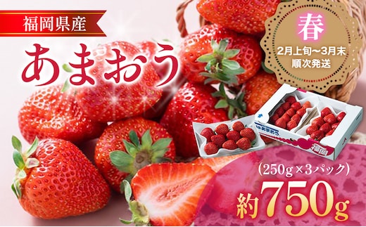 福岡産【春】あまおう 3パック 合計750g （1パックあたり250g） いちご 苺 果物 フルーツ 九州産 福岡県産 冷蔵 送料無料 【2月上旬発送開始予定】