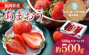 あまおう 福岡産【冬】あまおう 2パック 合計500g （1パックあたり250g） いちご 苺 果物 フルーツ 九州産 福岡県産 冷蔵 送料無料【12月上旬発送開始予定】