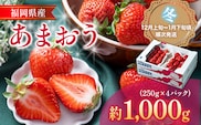 福岡産【冬】あまおう 4パック 合計1000g （1パックあたり250g） いちご 苺 果物 フルーツ 九州産 福岡県産 冷蔵 送料無料【12月上旬発送開始予定】