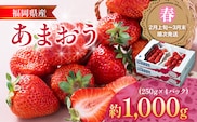 福岡産【春】あまおう 4パック 合計1000g（1パックあたり250g） いちご 苺 果物 フルーツ 九州産 福岡県産 冷蔵 送料無料 【2月上旬発送開始予定】