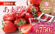 福岡産【春】あまおう 3パック 合計750g （1パックあたり250g） いちご 苺 果物 フルーツ 九州産 福岡県産 冷蔵 送料無料 【2月上旬発送開始予定】