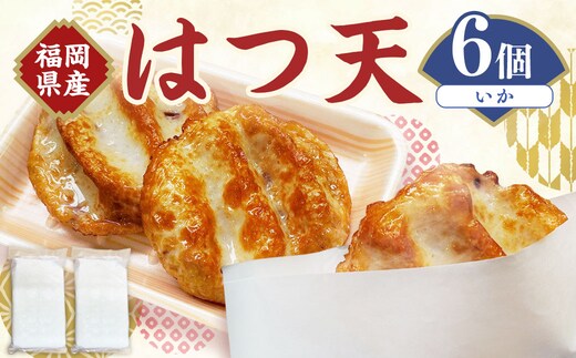 はつ天 (いか) 6個セット 天ぷら はつ イカ 魚肉 おかず 練り物 福岡県 岡垣町