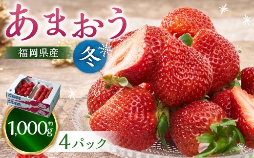 福岡産【冬】あまおう4パック いちご 苺 イチゴ 果物 くだもの フルーツ 冷蔵 【2026年12月上旬~2027年1月下旬発送予定】
