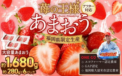 【寄附額改定↓】【予約受付】選べる大容量あまおう 1,680g 大粒 不揃い 選べる大容量あまおう (2L,グランデ,DX デラックス)減農薬 あまおう いちご 高級 いちごあまおう イチゴ 苺 フルーツ 果物 ふるさと納税くだもの amaou 福岡県 【2026年2月上旬~下旬発送予定】