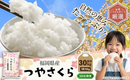 【3ヶ月定期便】福岡県産つやさくら 10kg 岡垣町 ふるさと納税返礼品 お米 こめ 精米 ご飯 ごはん 国産 定期便