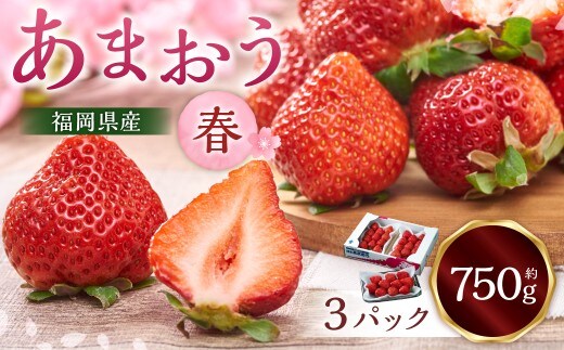福岡産【春】あまおう3パック いちご 苺 イチゴ 果物 くだもの フルーツ 冷蔵 【2027年2月上旬~3月下旬発送予定】