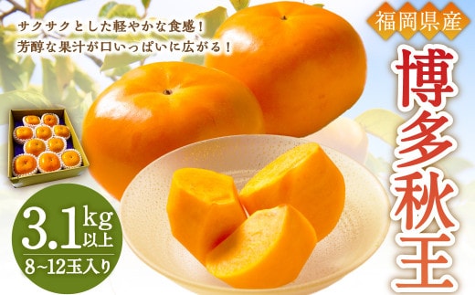 【優等品】福岡県産 博多秋王 約3.1kg以上(8玉~12玉入り) 果物 フルーツ 柿 かき 【2026年10月上旬~11月下旬発送予定】