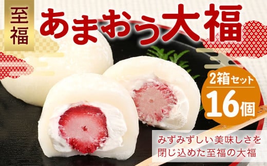【福岡県産あまおう使用】 至福 あまおう大福 (50g×8個×2セット) 計800g 化粧箱入り 和菓子 菓子 スイーツ