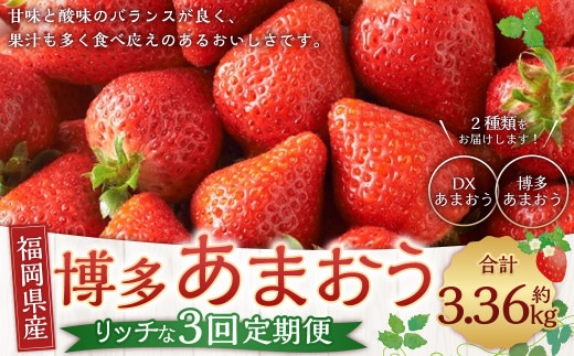 【3回定期便】博多あまおうリッチな定期便 いちご イチゴ 苺 【2026年12月上旬~2027年2月下旬発送予定】