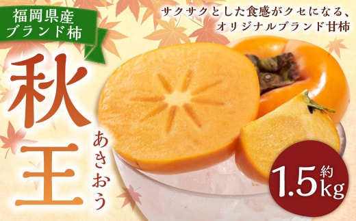 福岡県産ブランド柿・秋王 約1.5kg (4-6玉) 柿 カキ かき 果物 くだもの フルーツ 冷蔵 国産 岡垣町 【2026年10月下旬~11月下旬発送予定】