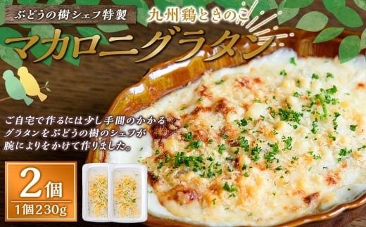【グラタン】 ぶどうの樹シェフ特製 選べるパスタ・グラタン2個セット マカロニグラタン マカロニ グラタン おかず 冷凍 福岡県 岡垣町