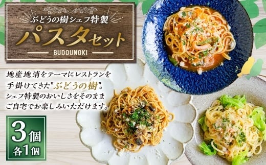 シェフ特製パスタ3個(ナポリタン / ボロネーゼ / カルボナーラ) パスタ 生パスタ スパゲッティ 冷凍パスタ 麺 麺類 冷凍 福岡県 岡垣町