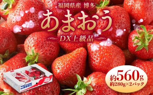 福岡県産 博多あまおう DX上級品 約560g(約280g×2パック入り)イチゴ 苺 【2025年12月上旬~2026年1月上旬発送予定】