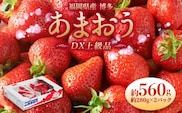 福岡県産 博多あまおう DX上級品 約560g(約280g×2パック入り)イチゴ  苺 【2025年12月上旬~2026年1月上旬発送予定】