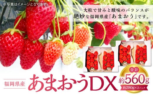 あまおうDX 約280g×2パック 苺 イチゴ あまおうデラックス あまおう 果物 くだもの フルーツ 【2026年2月上旬~4月上旬発送予定】