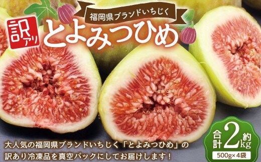 訳あり冷凍いちじく「とよみつひめ」2kg 冷凍 いちじく イチジク 冷凍 くだもの 果物 フルーツ