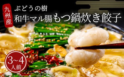 ぶどうの樹 九州産★和牛マル腸 もつ鍋炊き餃子【3~4人前】
