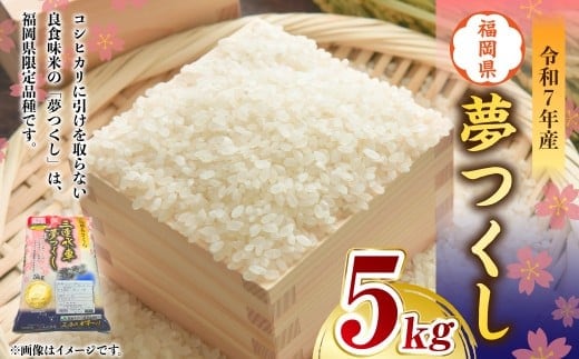 【令和7年産】 福岡県産 夢つくし 5kg 【2026年1月下旬~4月下旬発送予定】 5キロ お米 米 ご飯 飯 ブランド米 国産 九州 福岡県 岡垣町